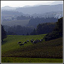 Blick von der Hohen Strae Richtung Saupsdorf und hintere Schsische Schweiz