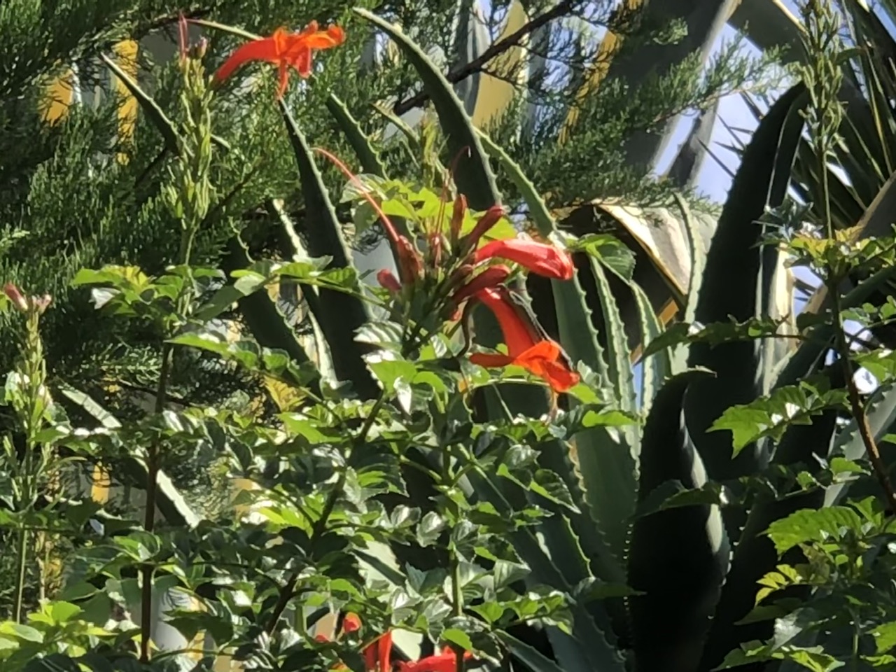 Suchbild Suchbild