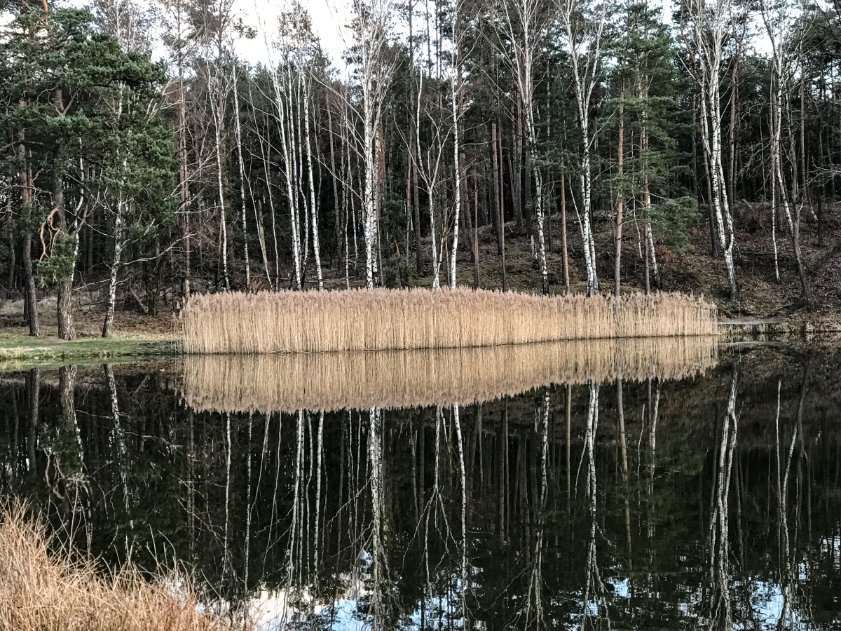 Reflexionen Reflexionen