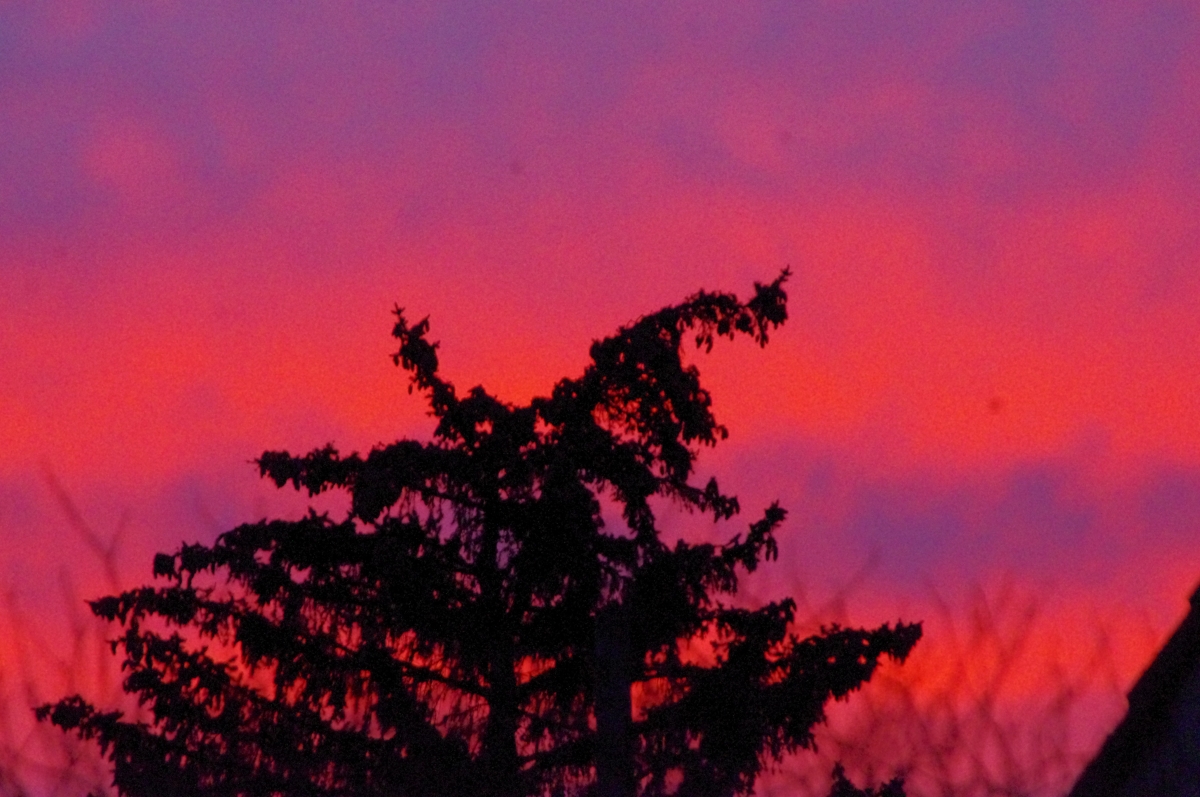 Morgenrot Morgenrot