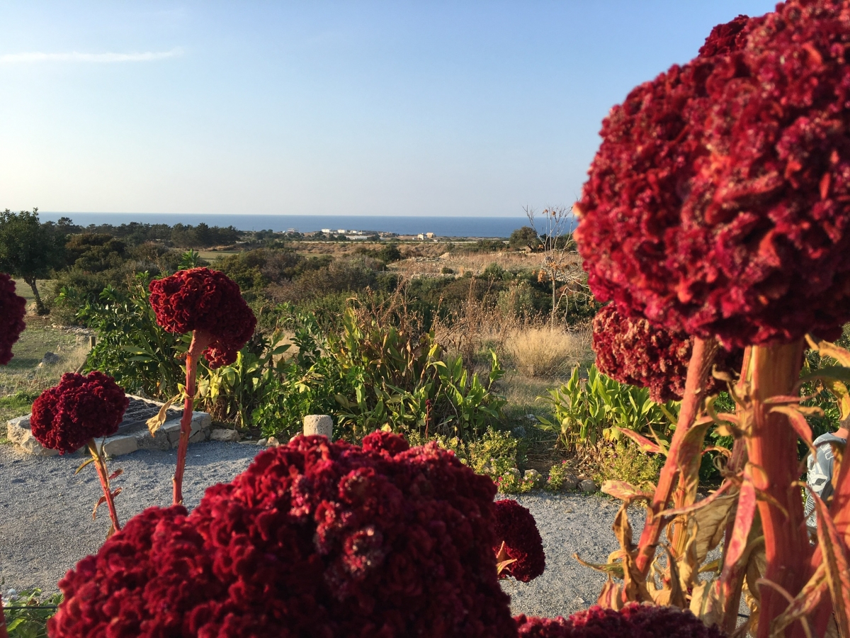 Ausblick Ausblick
