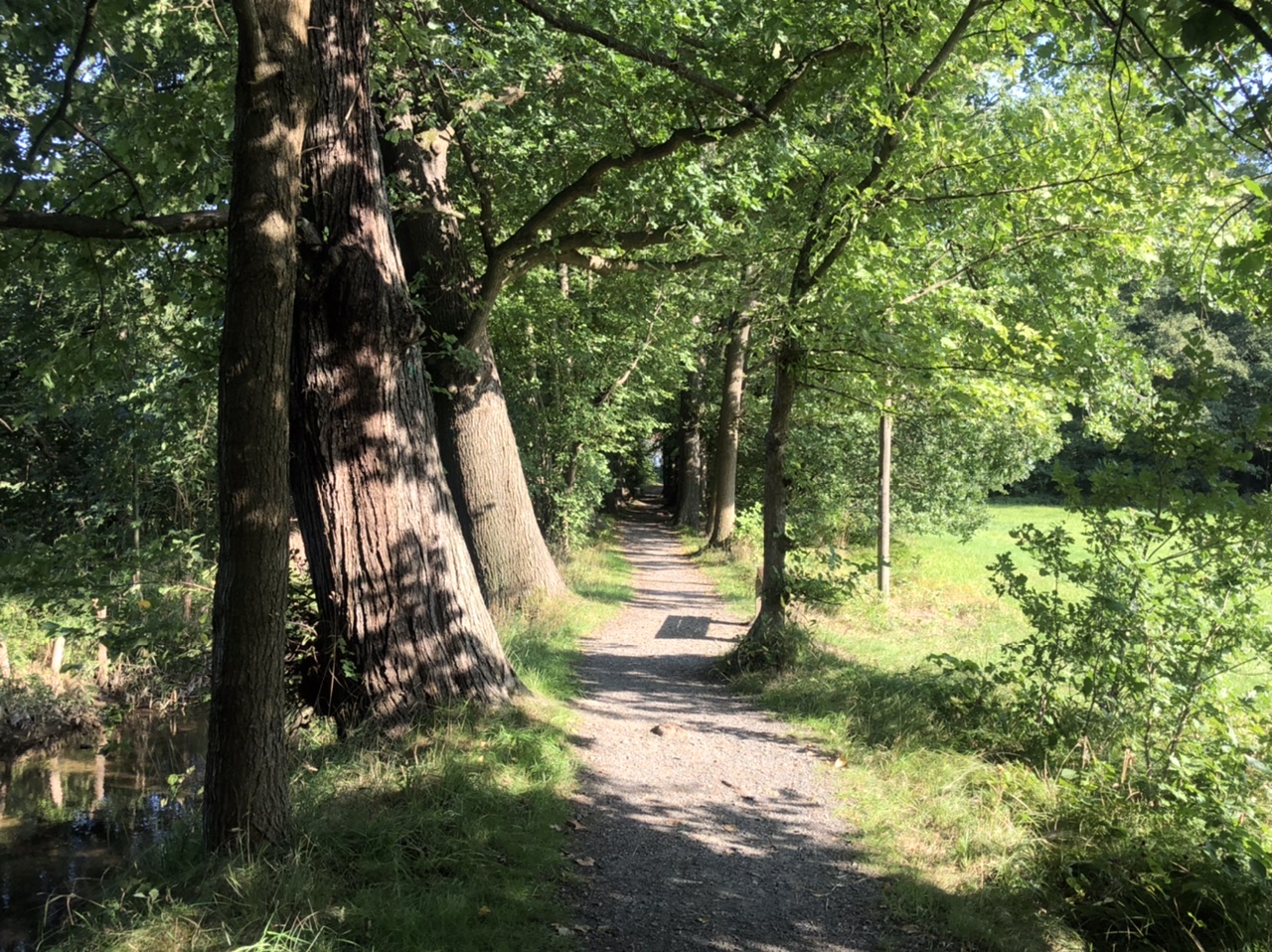 Flüsterallee Flüsterallee