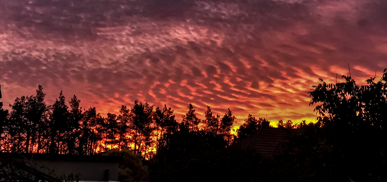 Morgenrot Morgenrot