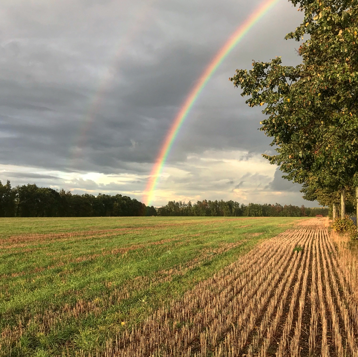 Anfang vom Regenbogen Anfang vom Regenbogen