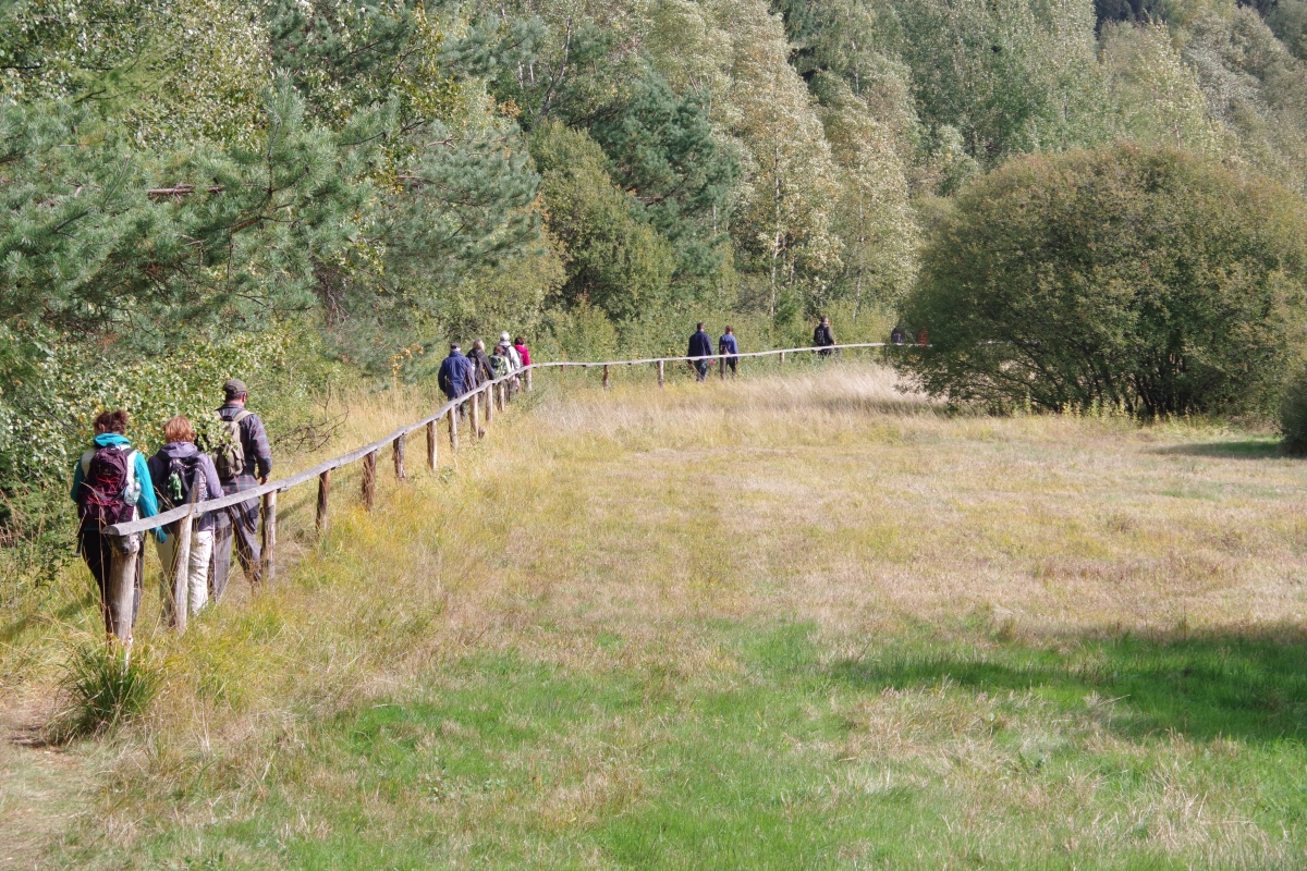 Lauschemoor Lauschemoor