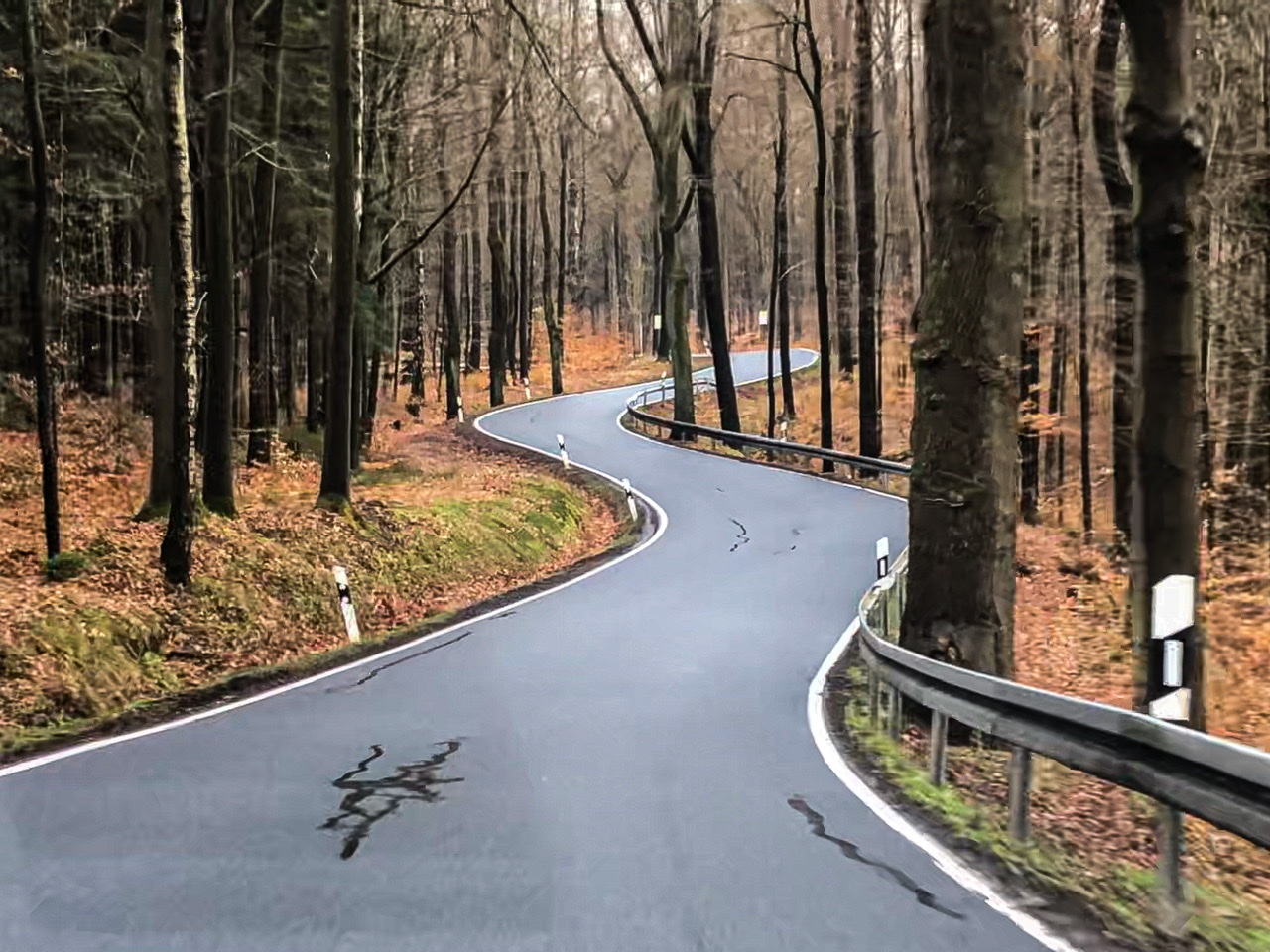 Straße nach Bad Schandau Straße nach Bad Schandau