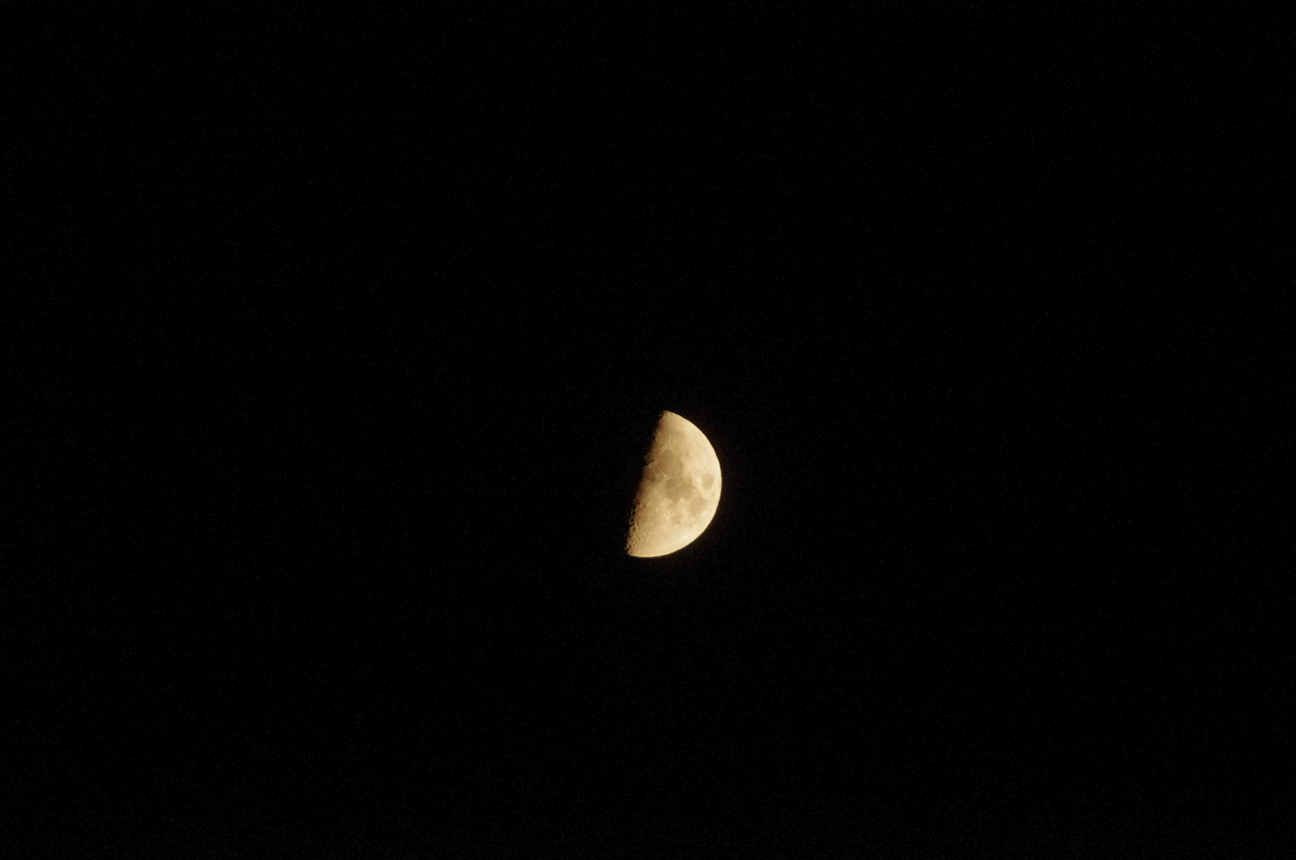 Frau Luna Frau Luna