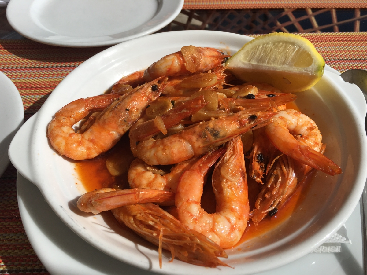 Scampi Scampi