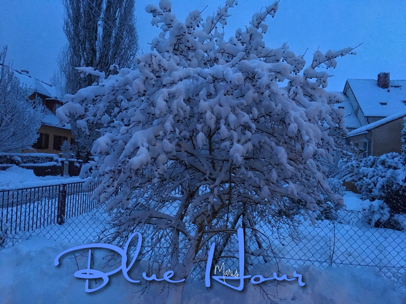 Blue hour Blue hour