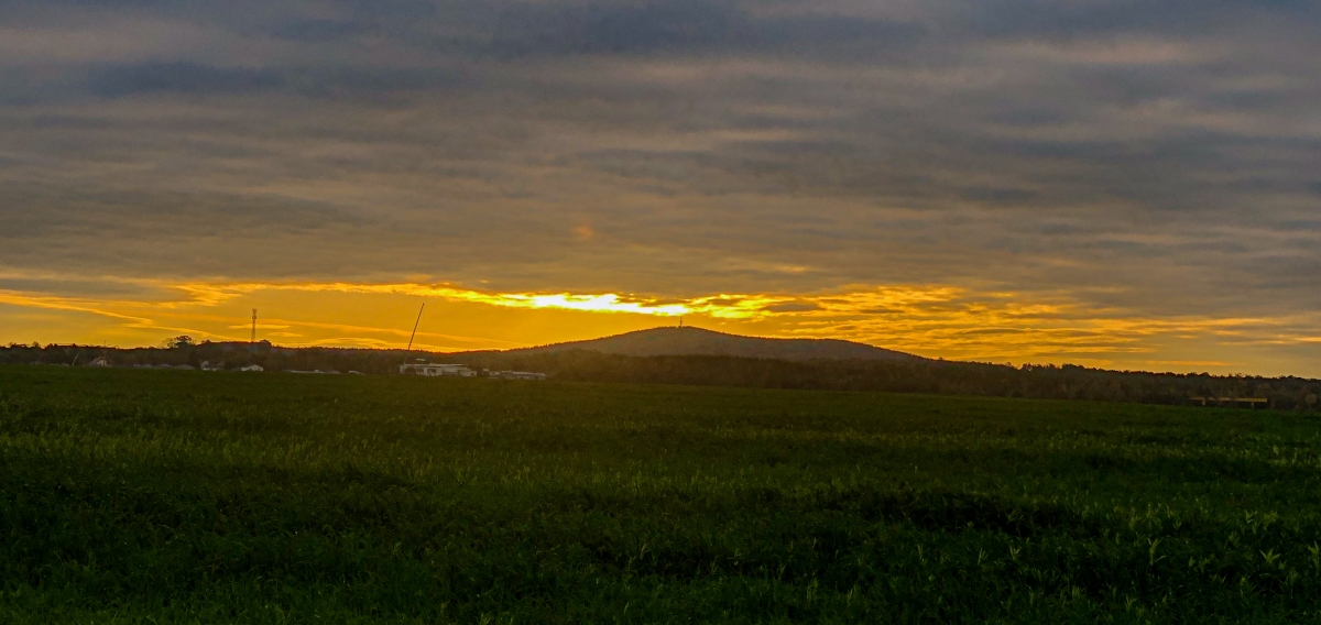 Sonnenaufgang am Keulenberg Sonnenaufgang am Keulenberg
