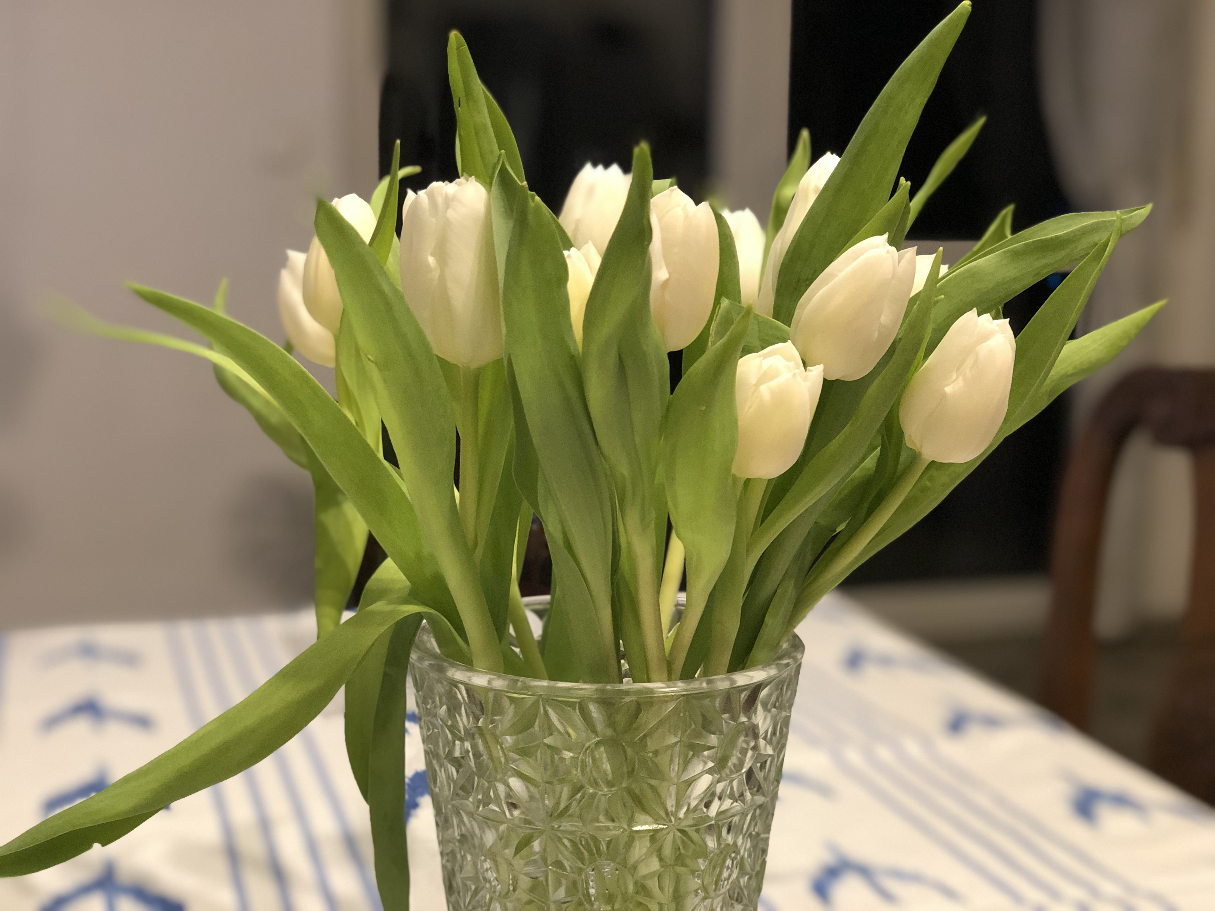 Weiße Tulpen 