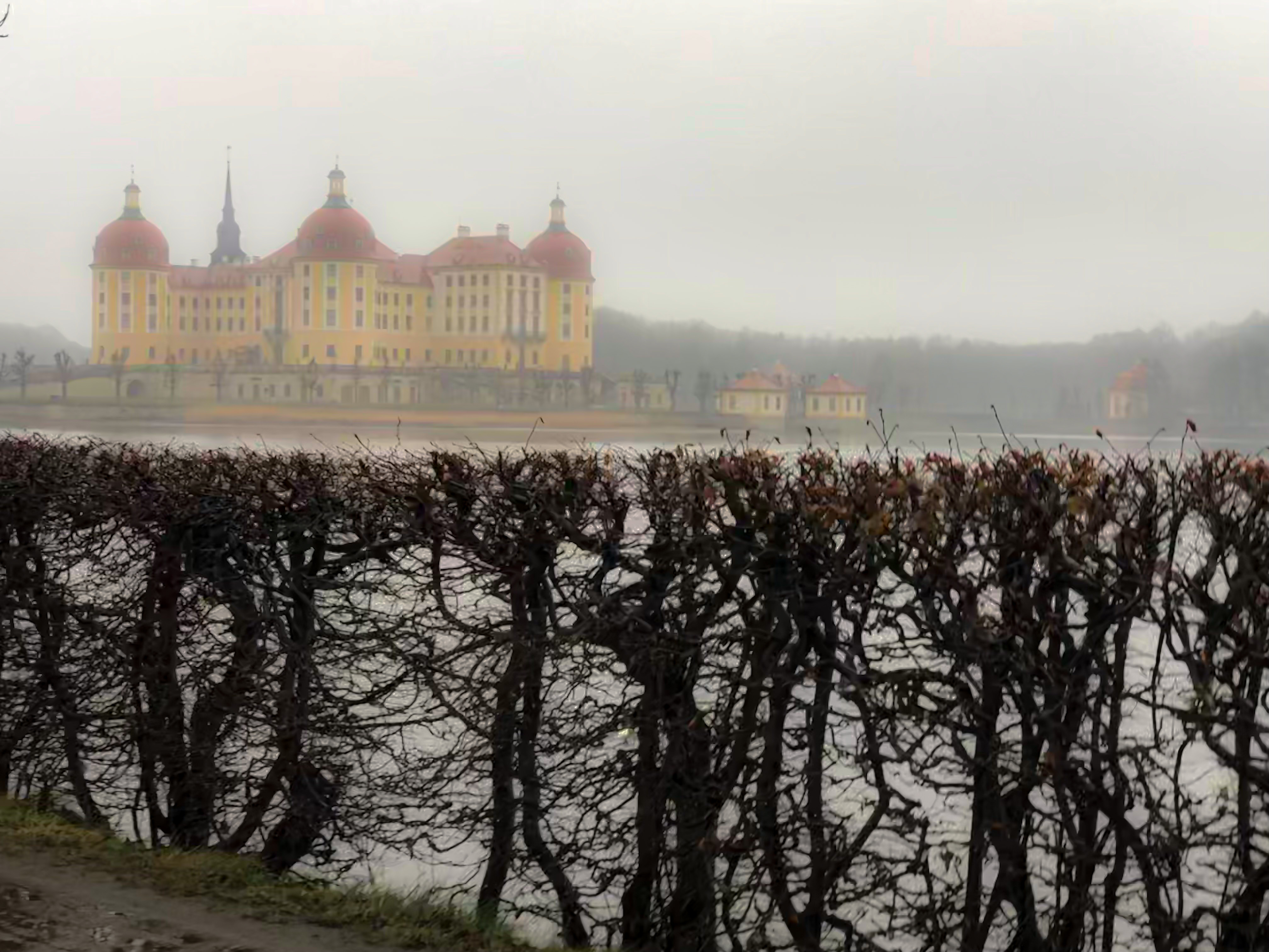 Schloß Moritzburg im Nebel 