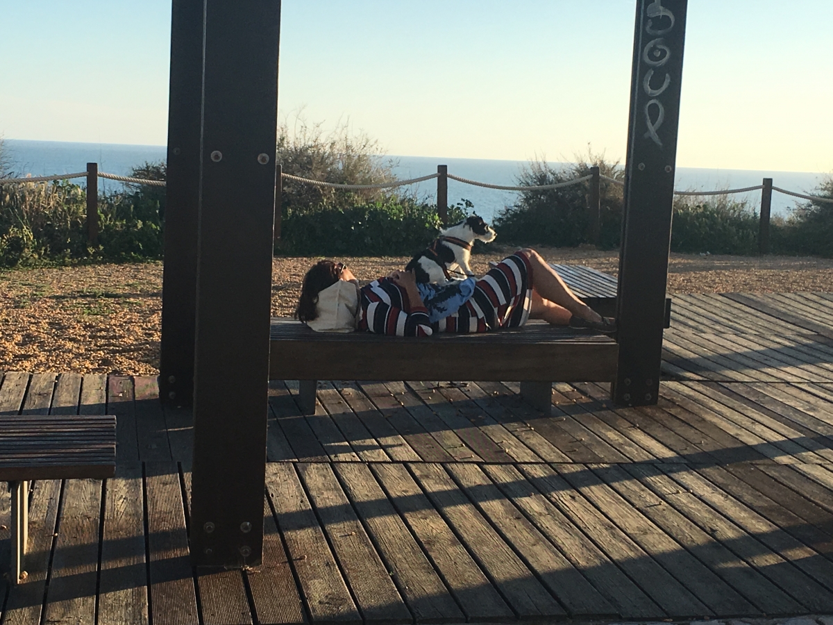 Erholung auf Portugiesisch Erholung auf Portugiesisch