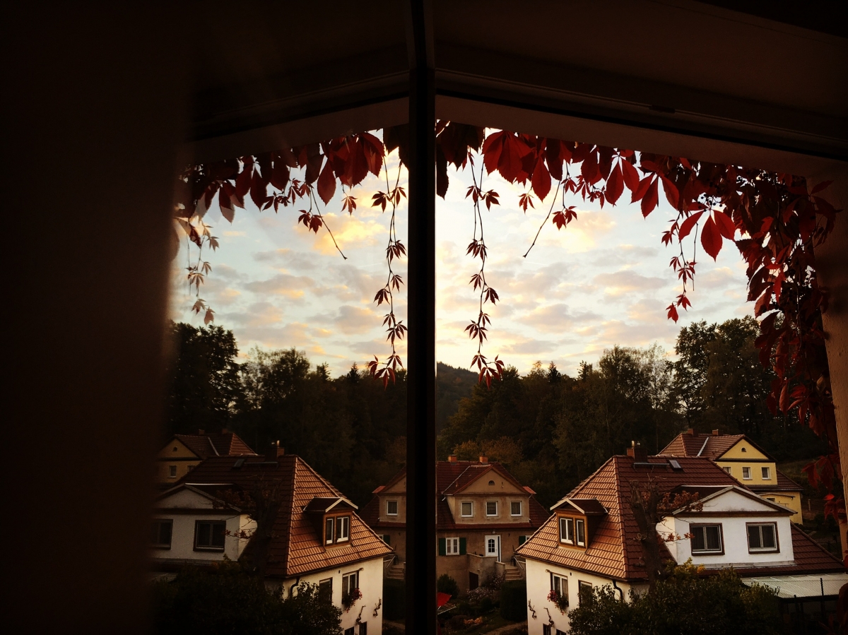 Fensterblick Fensterblick