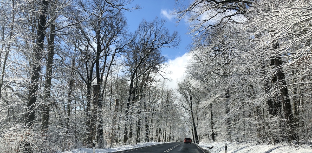 Schnee Schnee