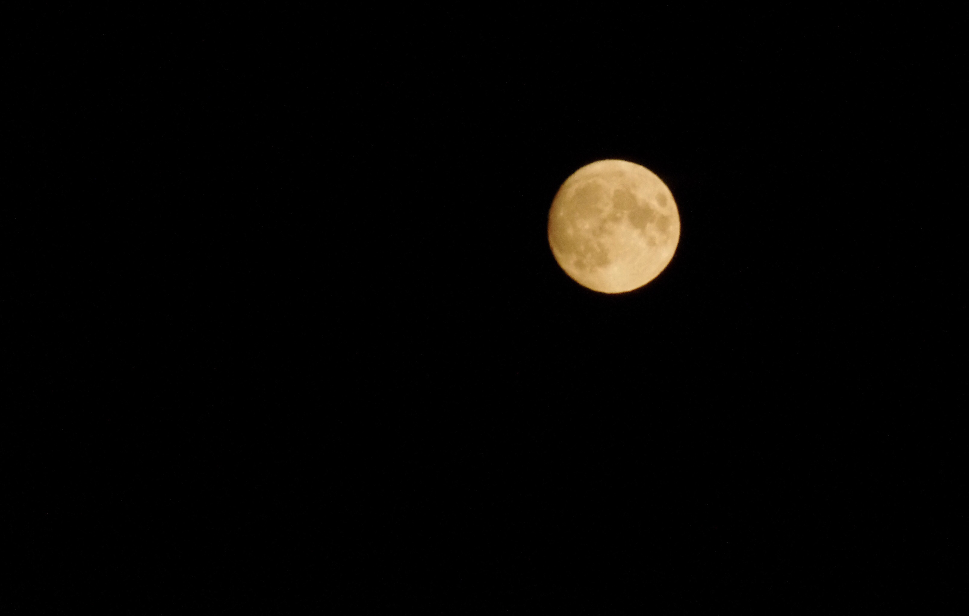 Fast Vollmond Fast Vollmond