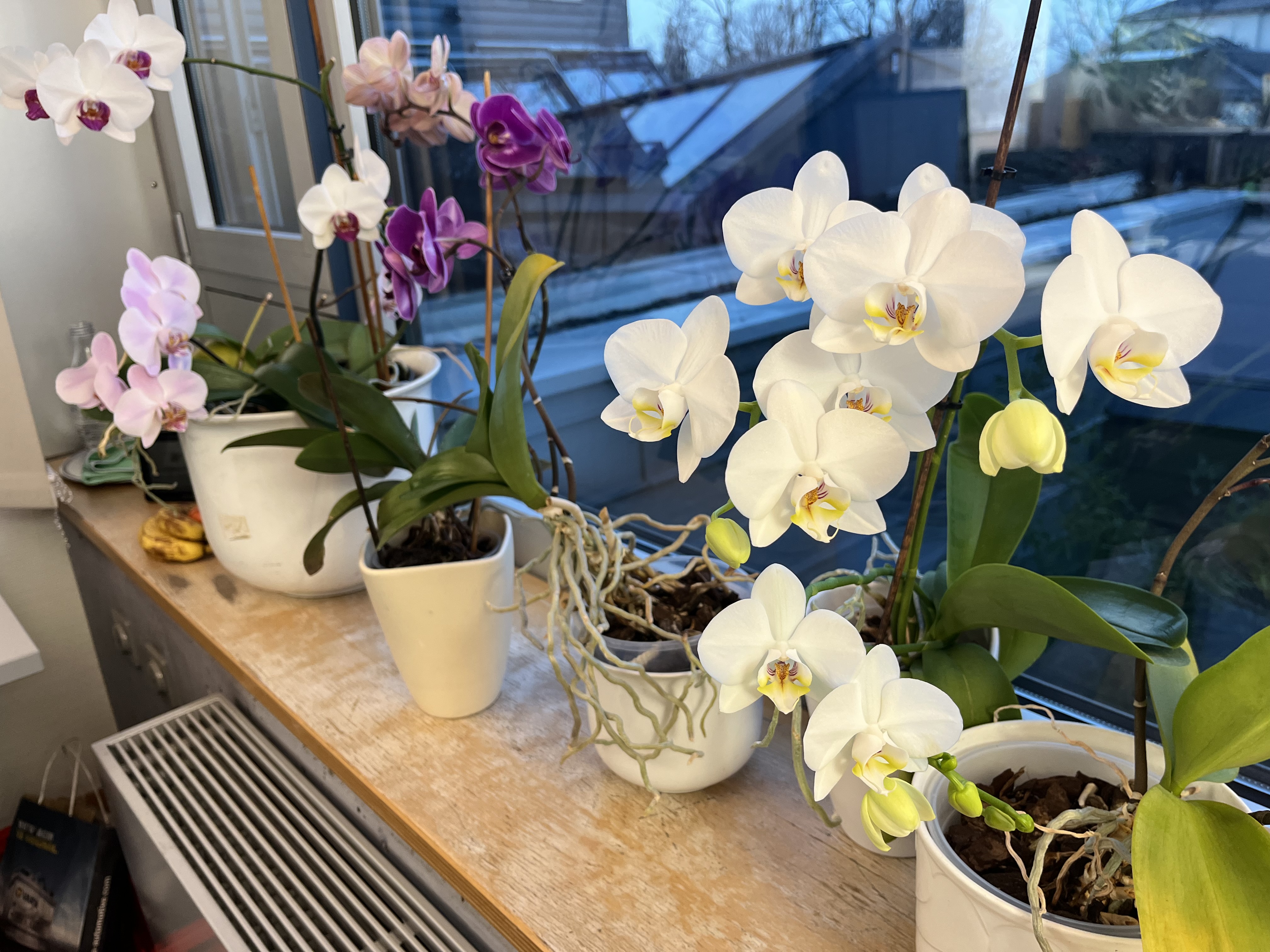 Bürofensterblick Bürofensterblick