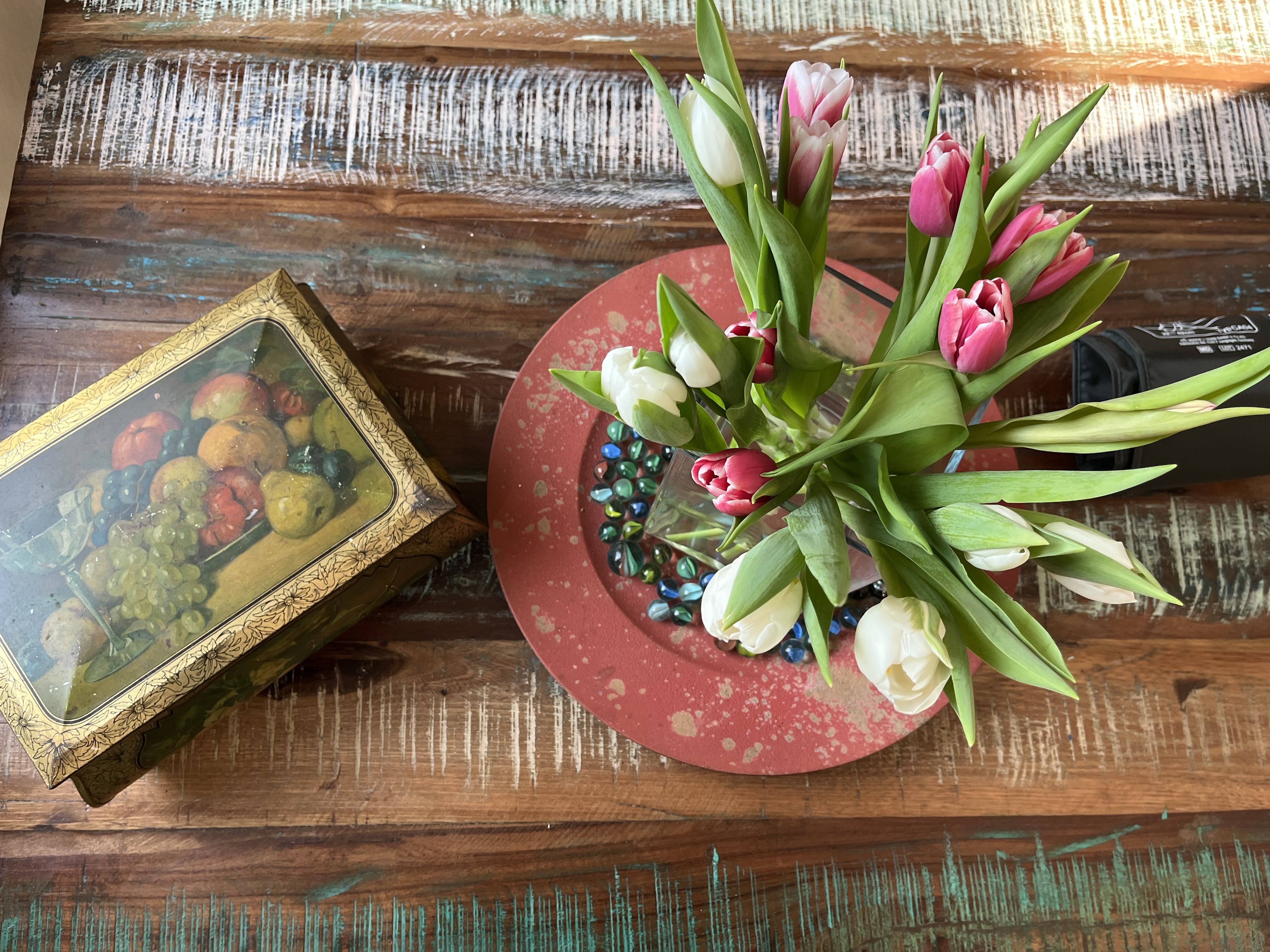 Tulpen Tulpen