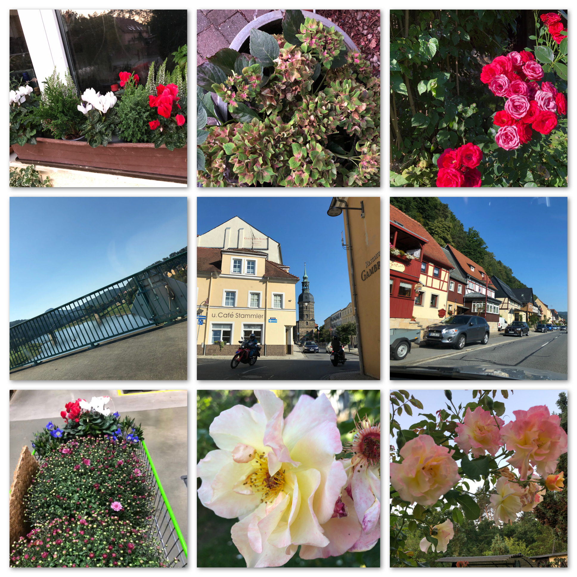 Blumenreiches WE Blumenreiches WE