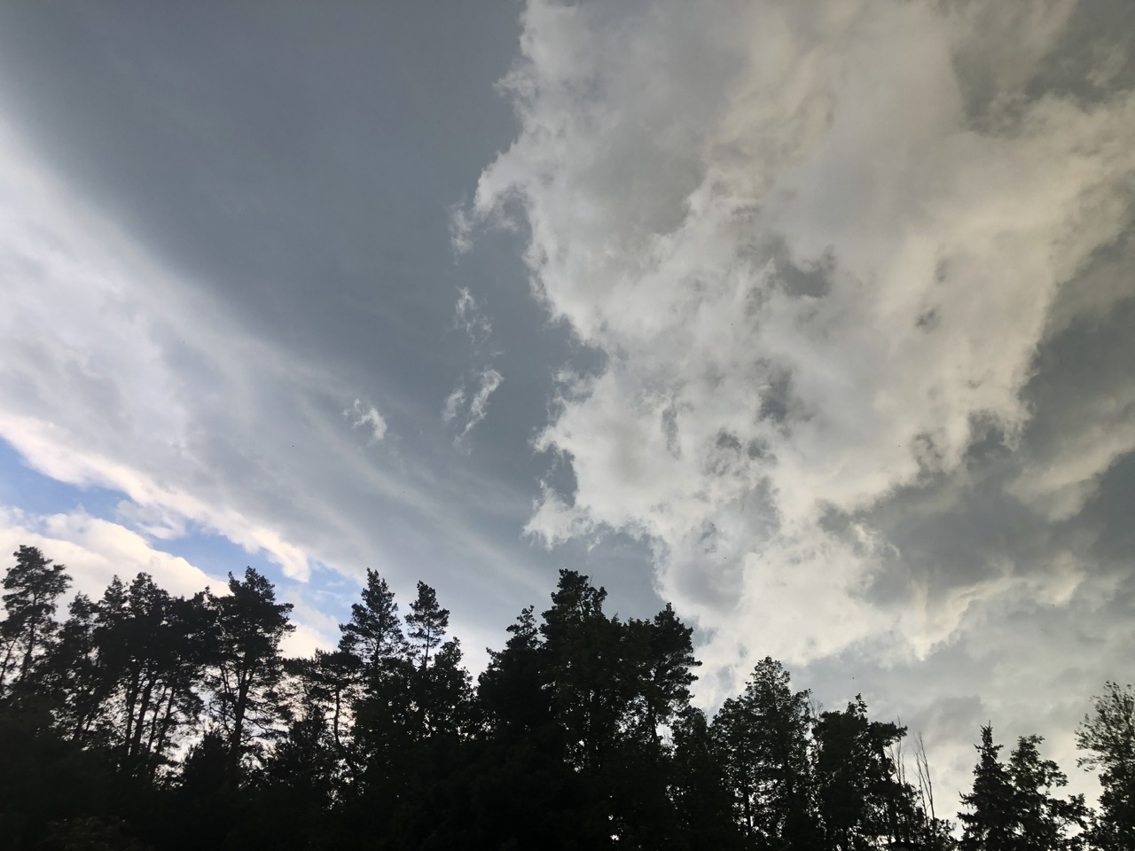 Gewitter Gewitter