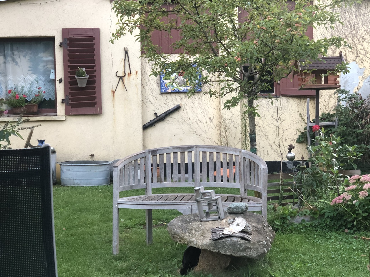 Suchbild Suchbild
