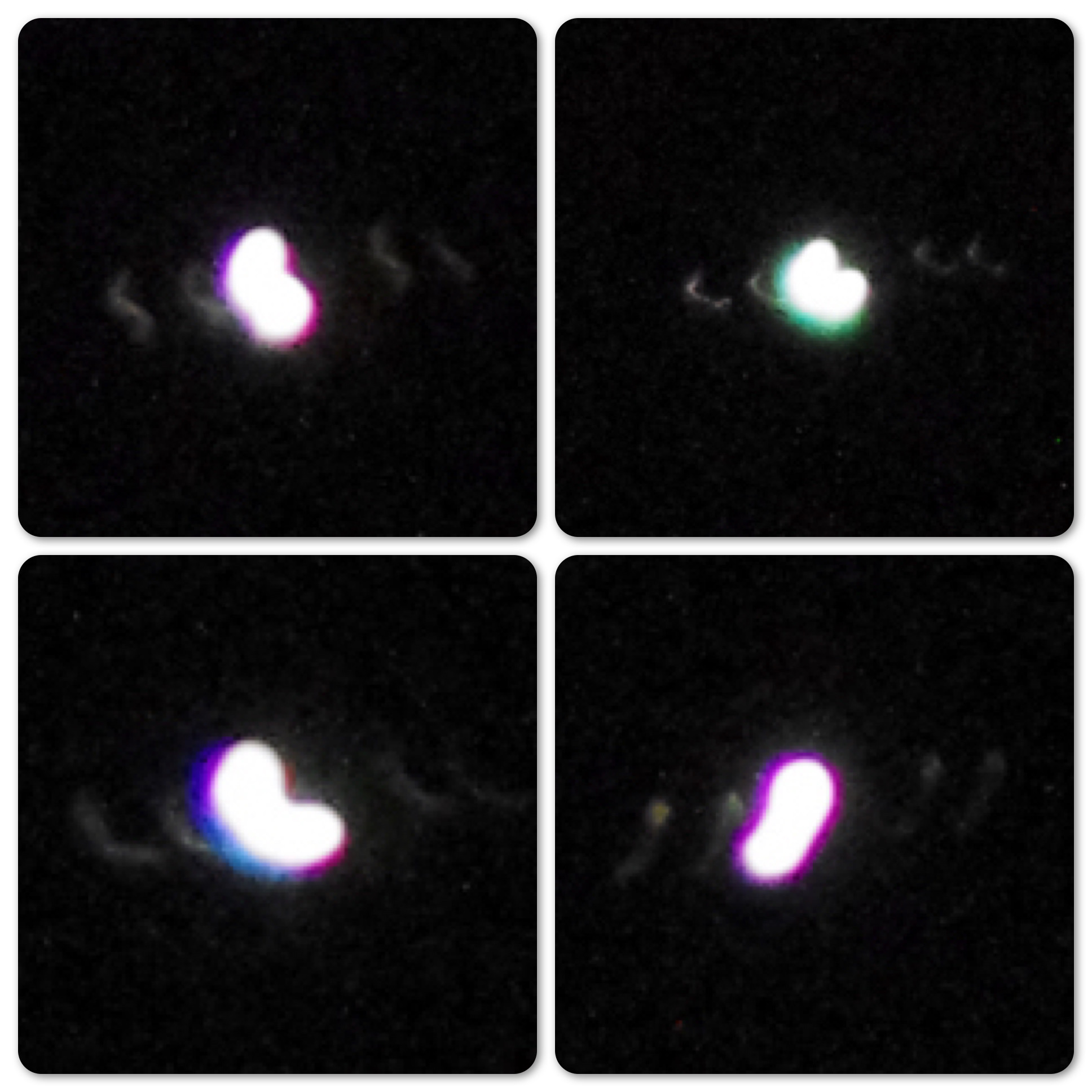 Jupiter Jupiter