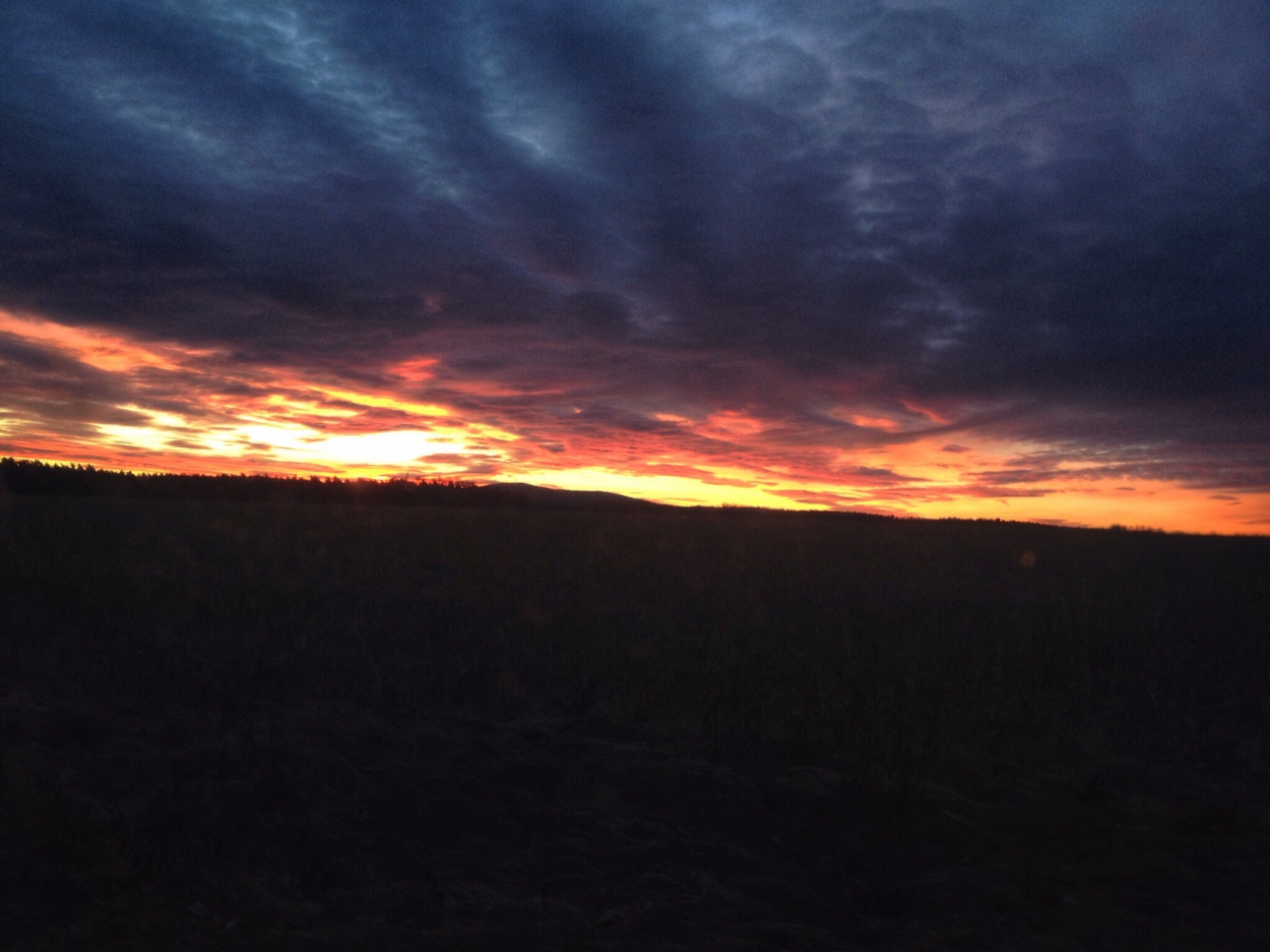 Morgenrot Morgenrot