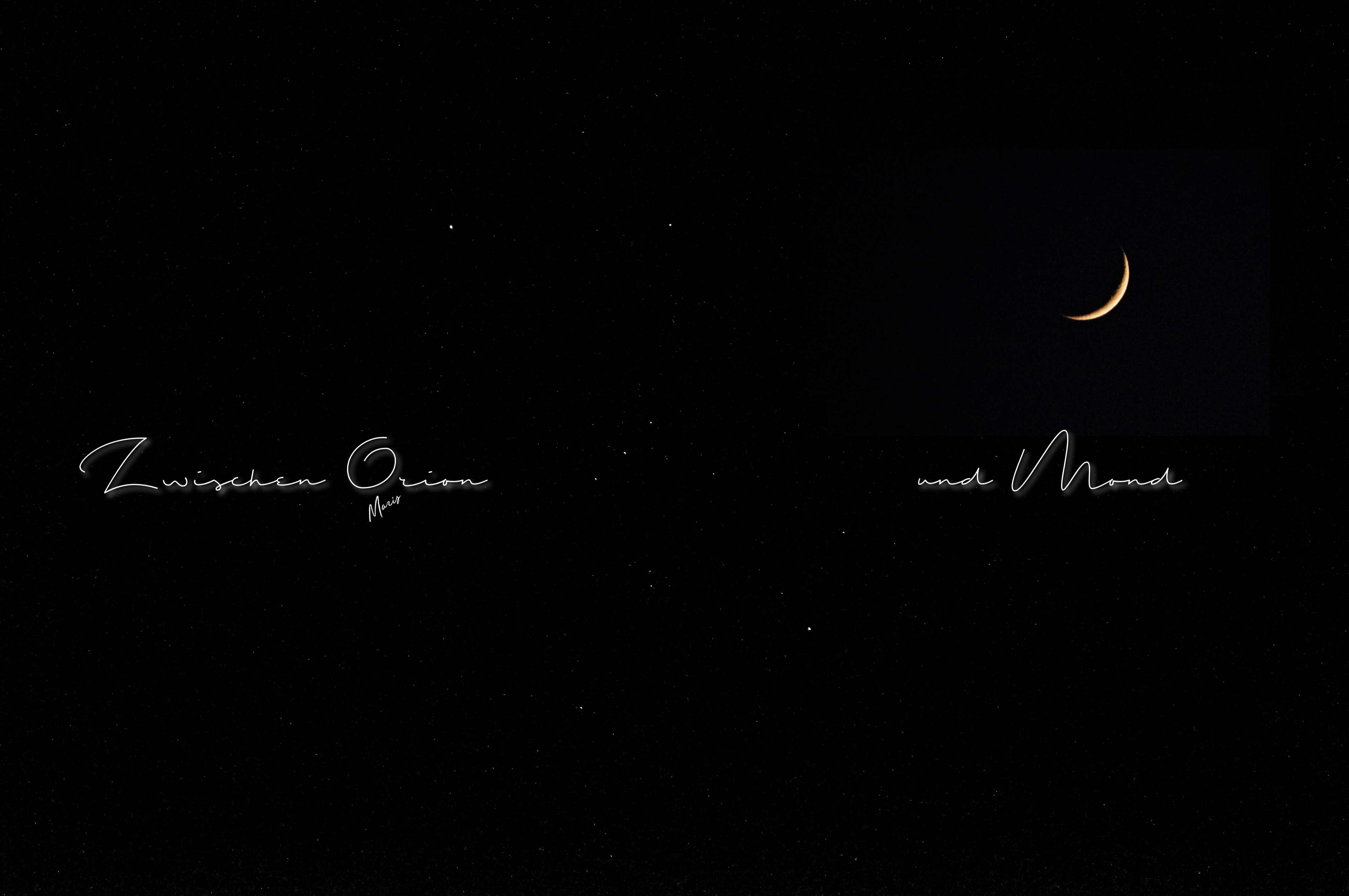 Orion Orion
