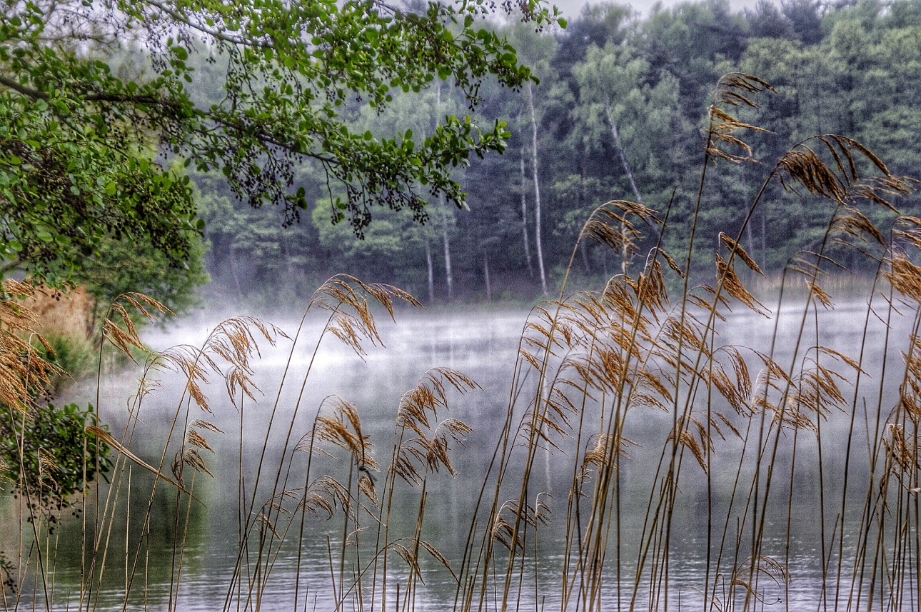 See am Morgen See am Morgen