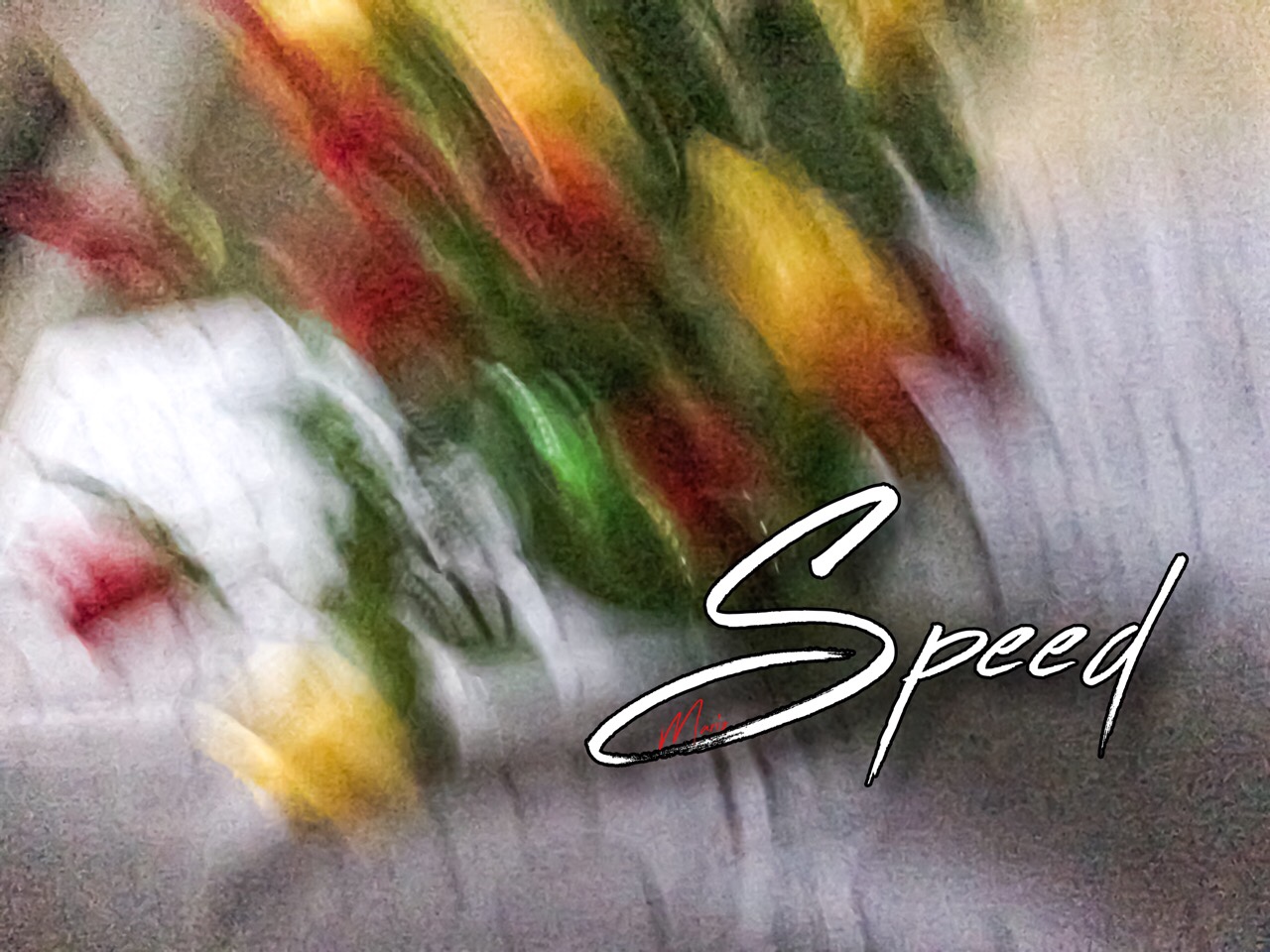 Speed Speed