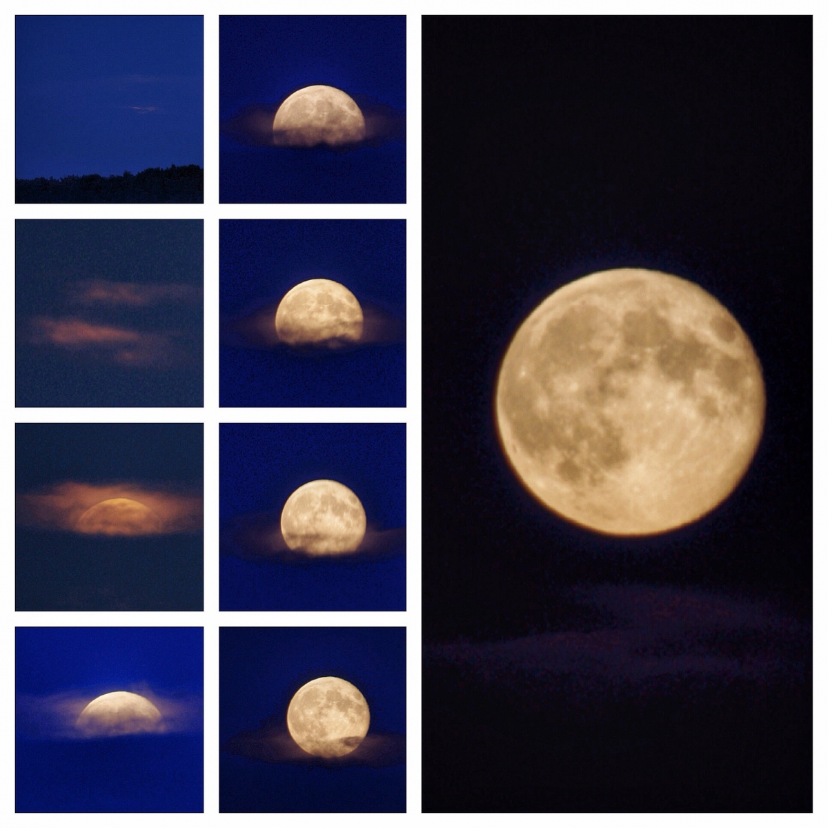Vollmond im August Vollmond im August