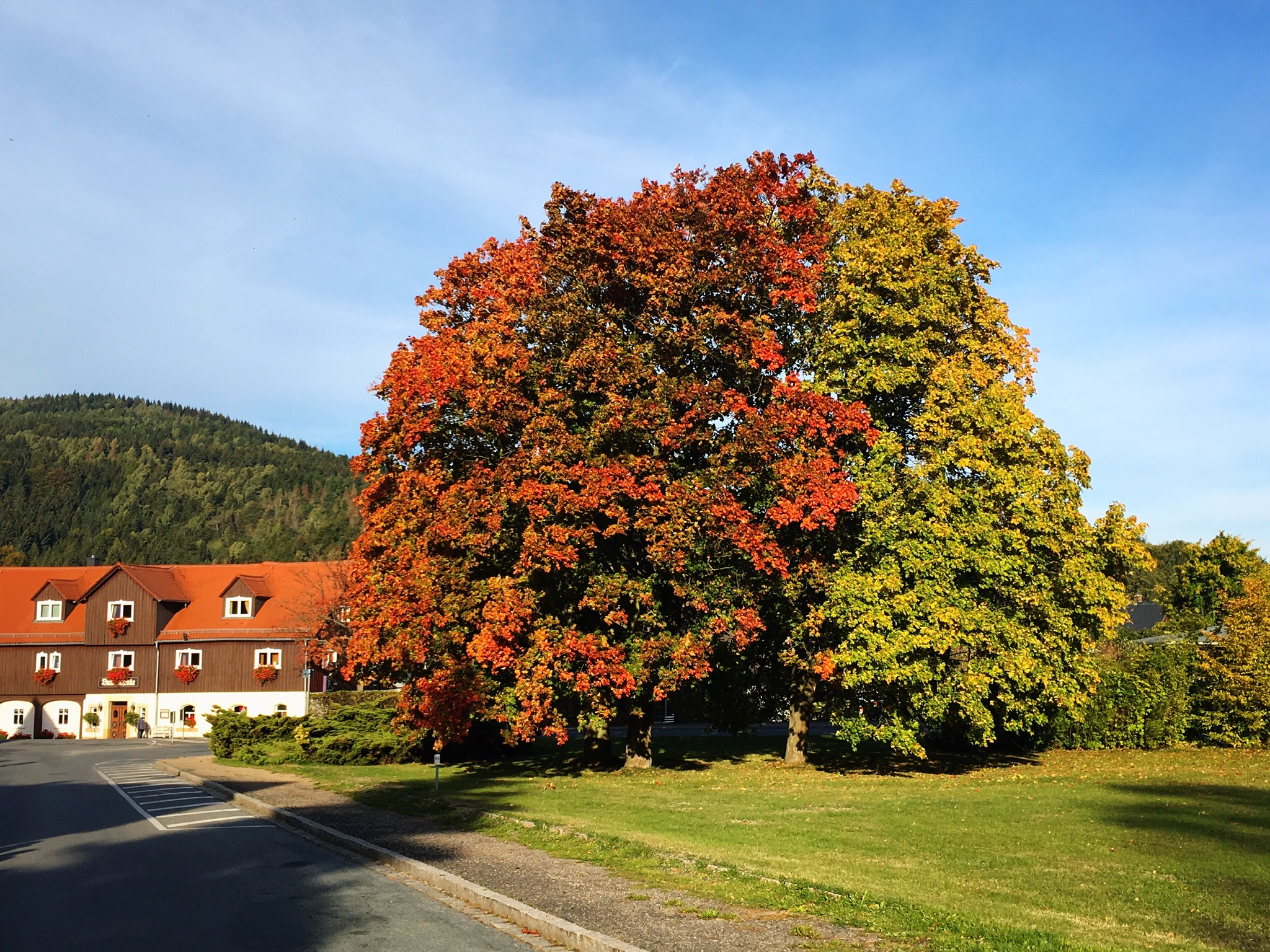 Herbstfarben Herbstfarben