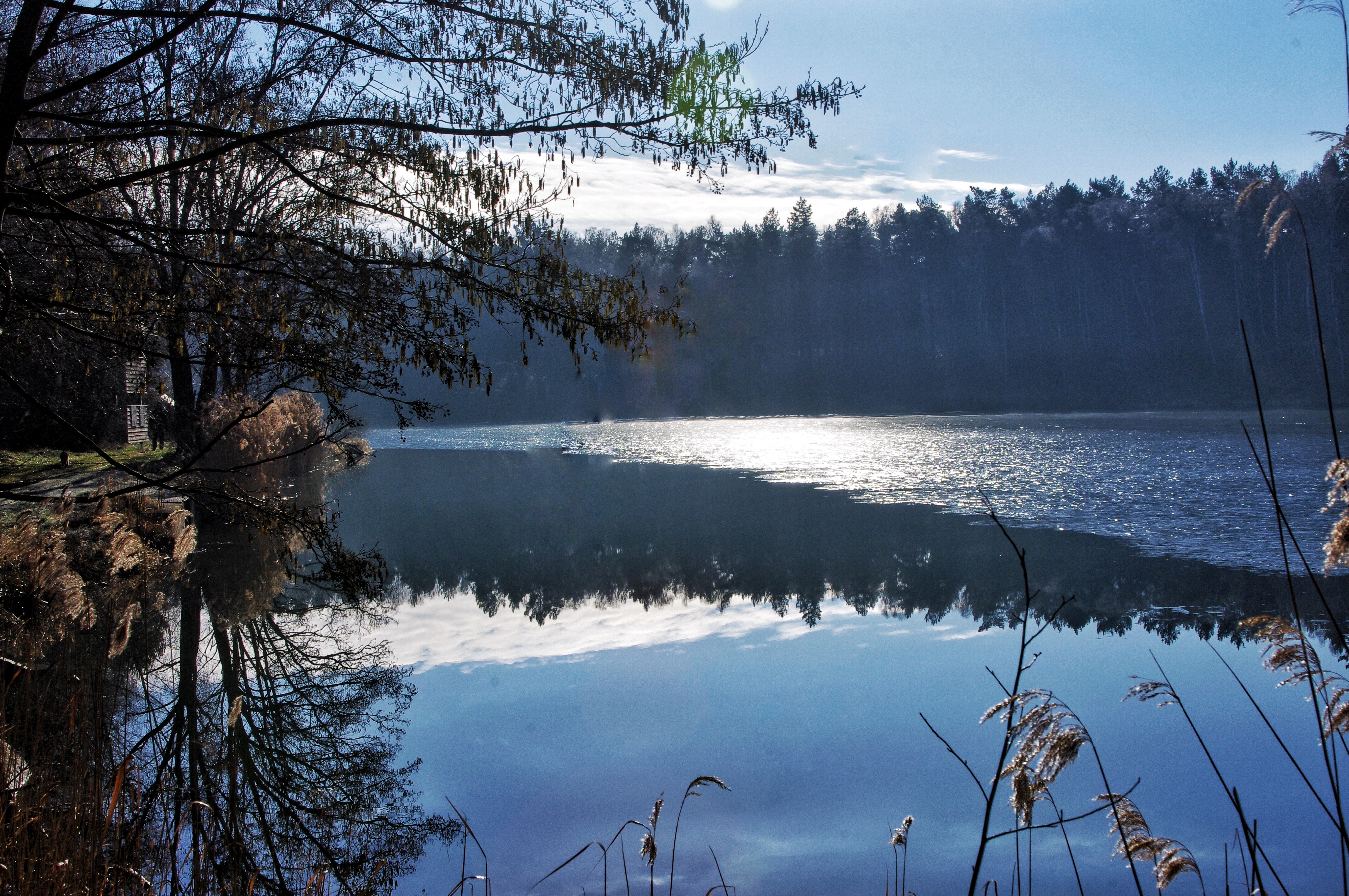 Erlenblick Erlenblick