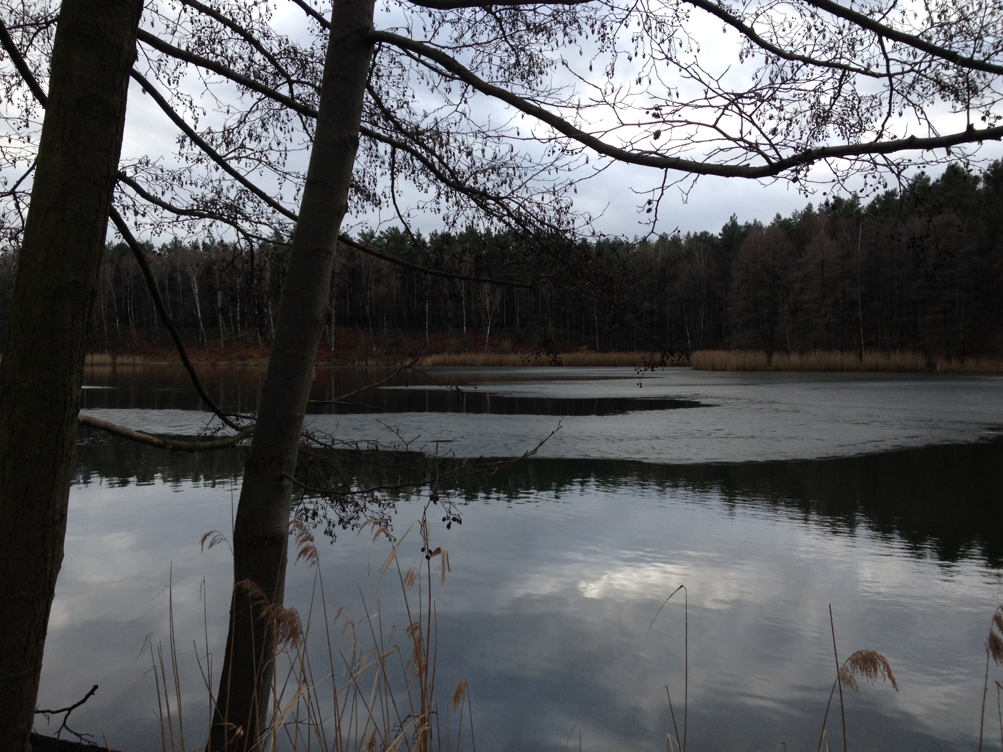 Erlenblick Erlenblick