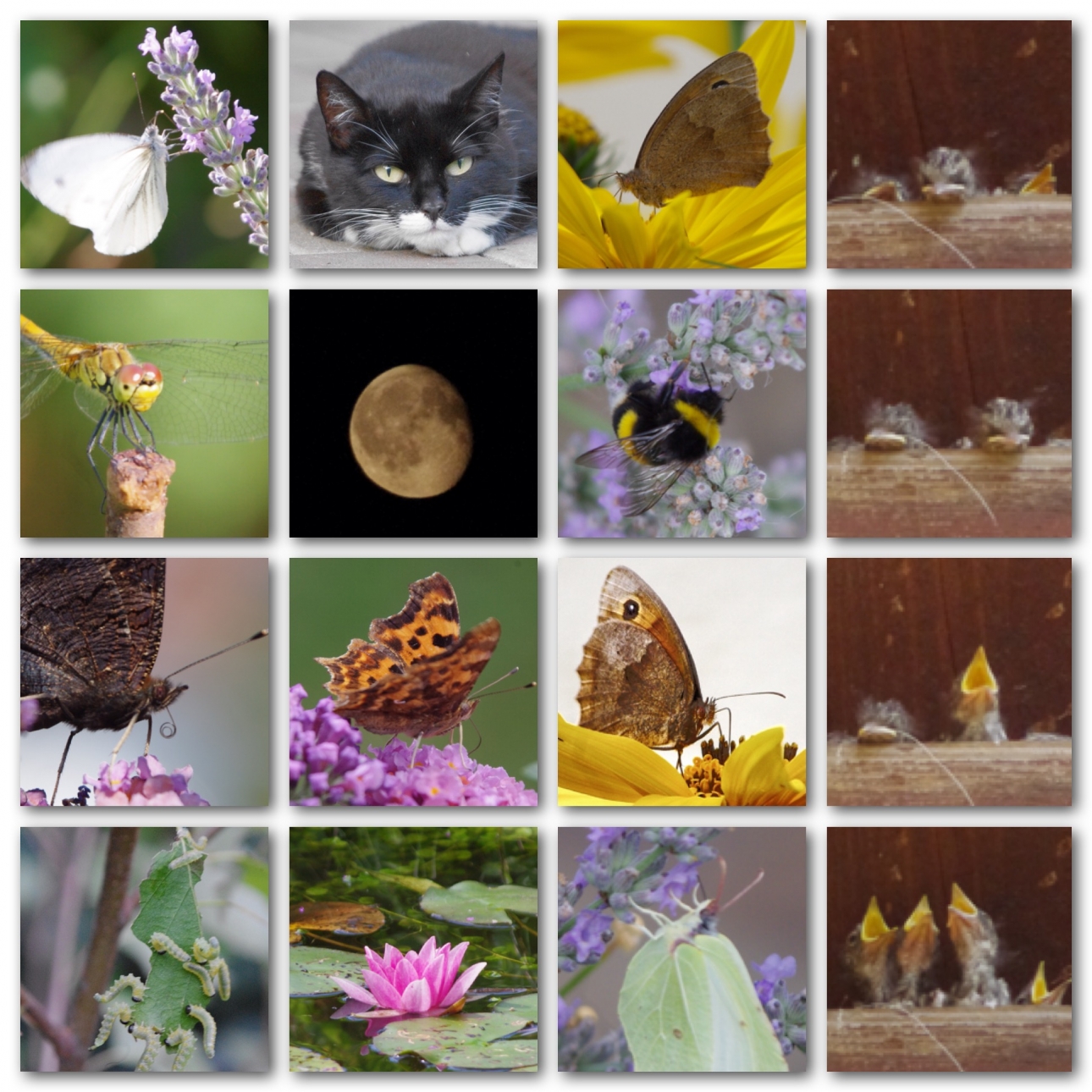 Tierisches Wochenende Tierisches Wochenende