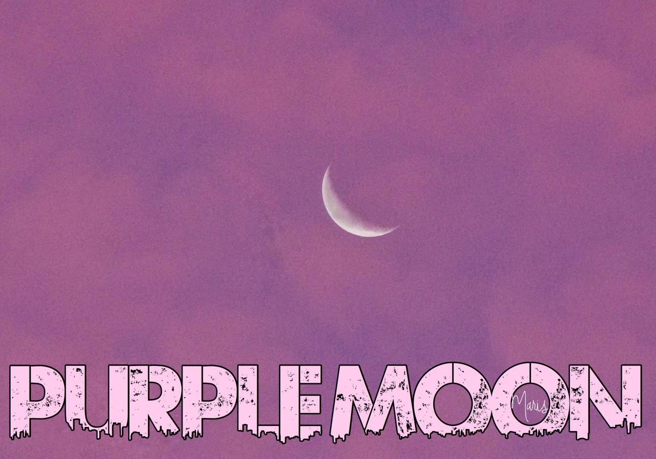 Purzle Moon Purple Moon