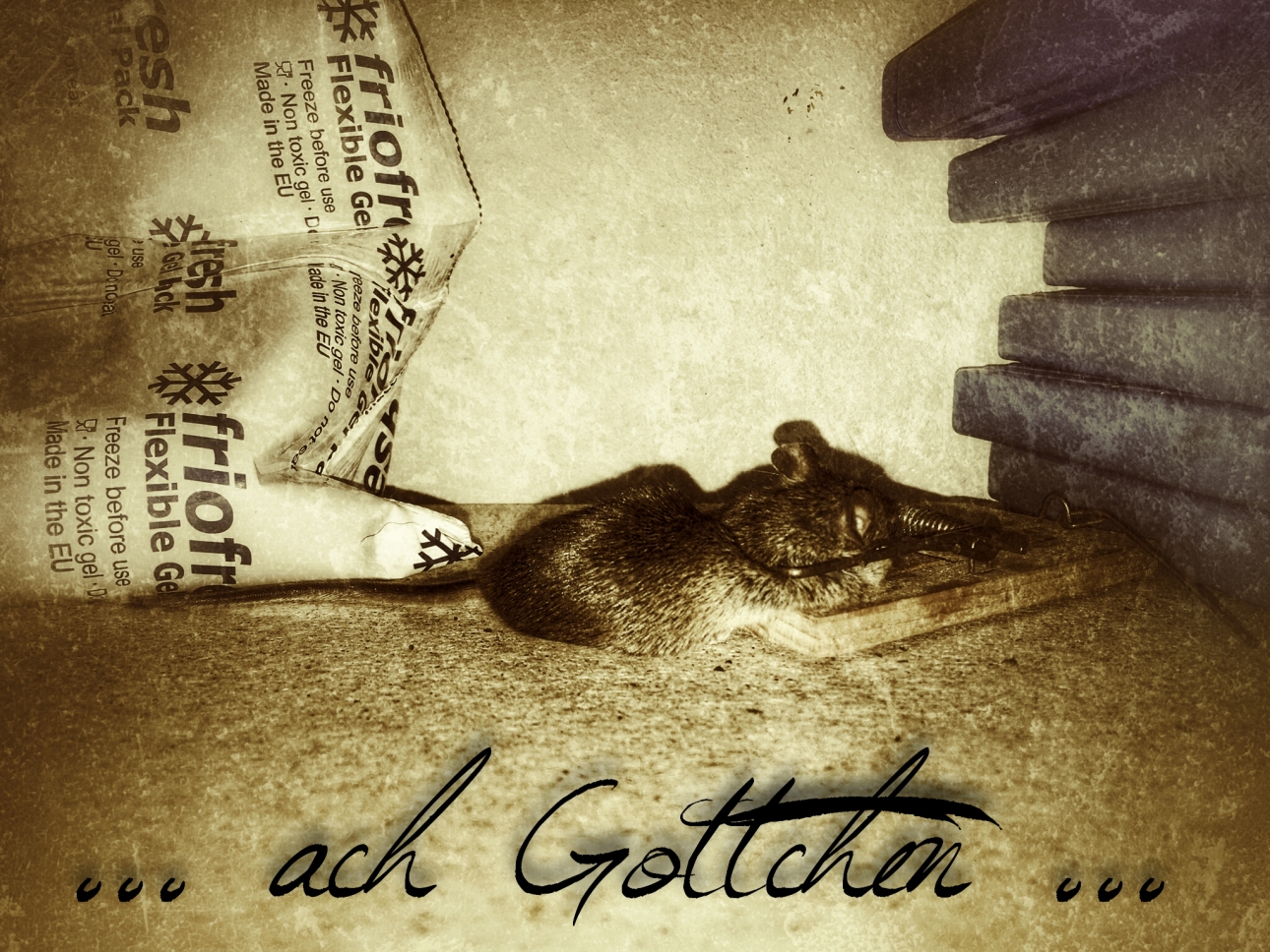 Ach Gottchen Ach Gottchen