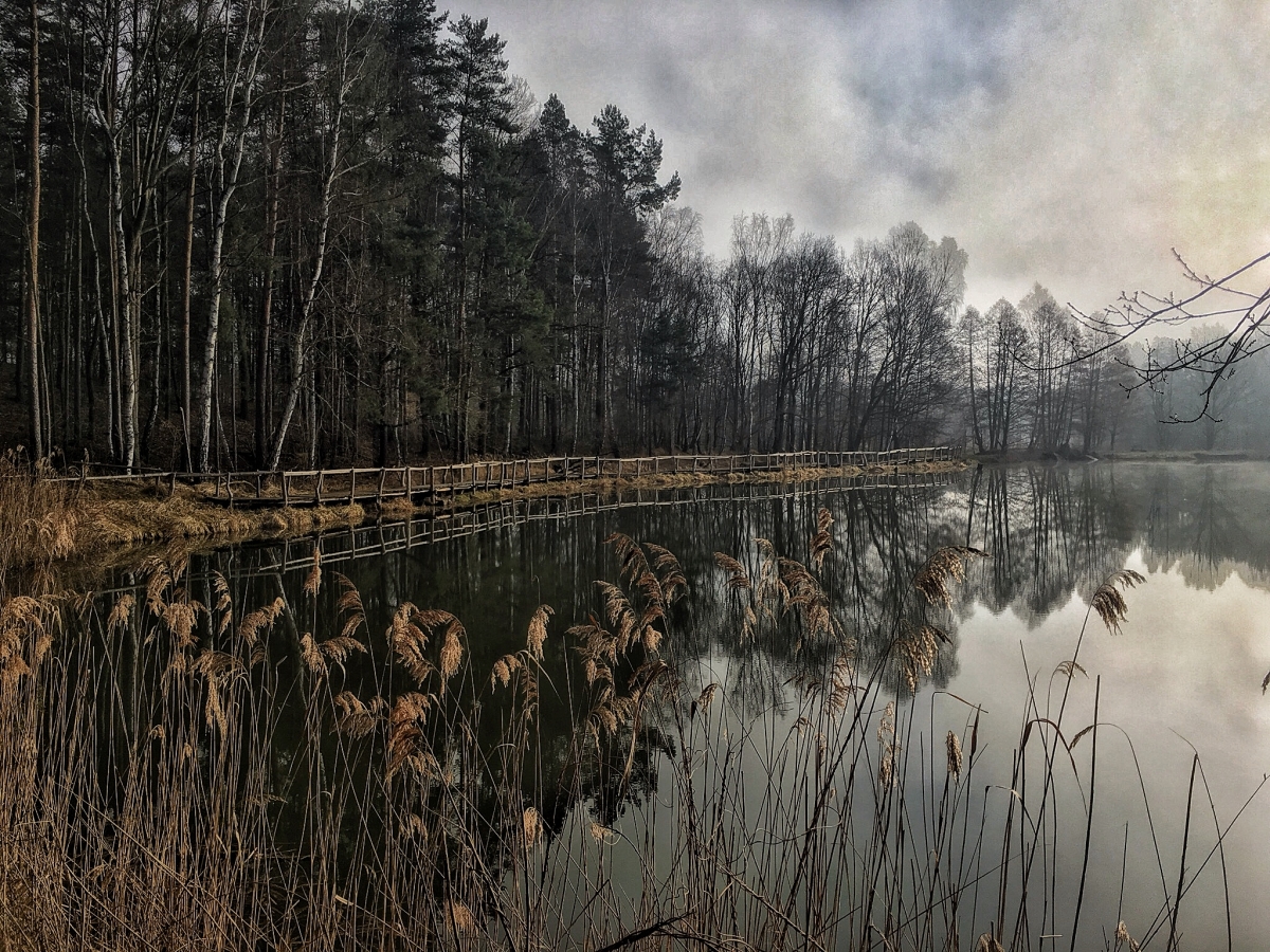 Spiegelungen Spiegelungen
