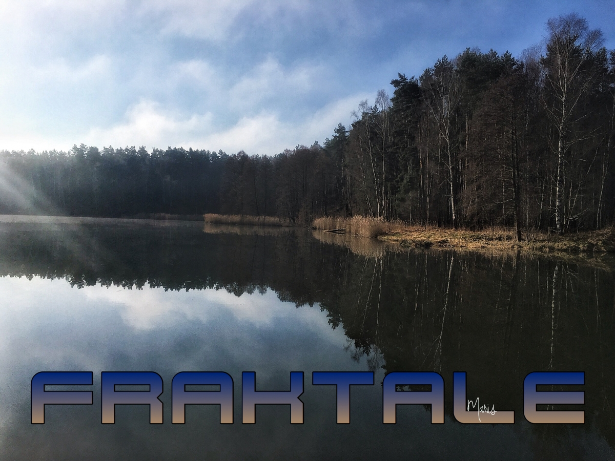 Fraktale Fraktale