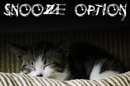 "Snooze" option