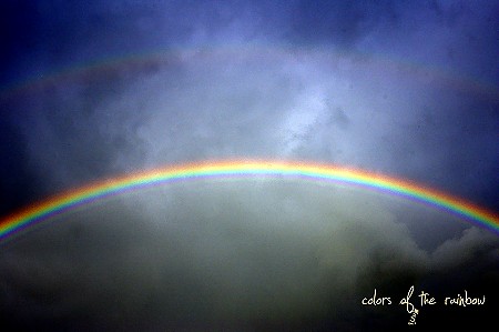 Regenbogen