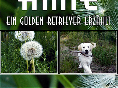 Amie - ein Golden Retriever erzhlt ...