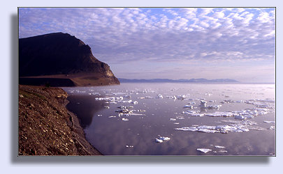 Fjordeis