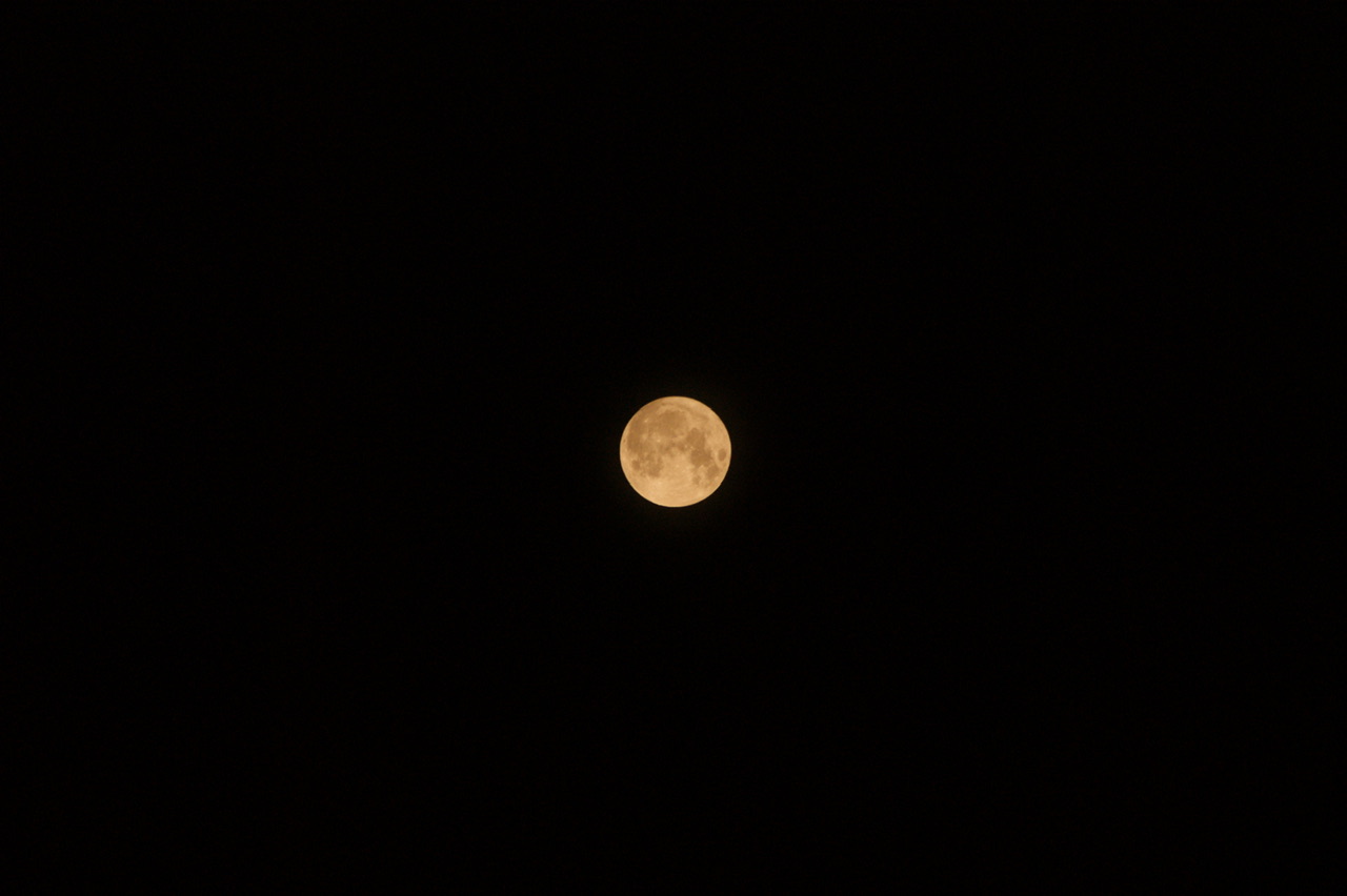 Vom Mond Vom Mond