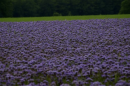 strahlend blau am Ende