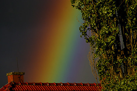Regenbogen 2012
