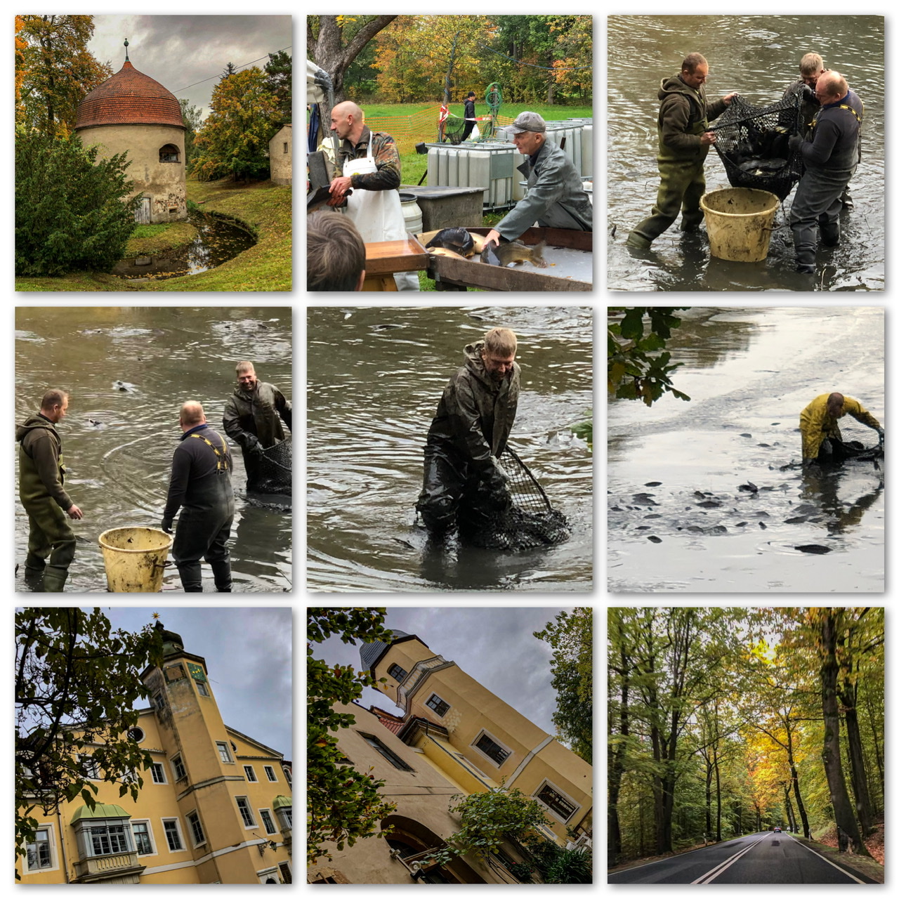 Abfischen in Hermsdorf Abfischen in Hermsdorf