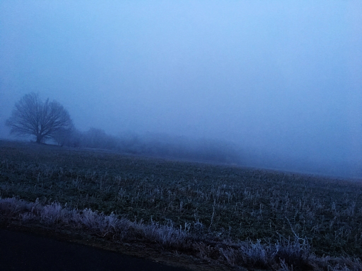 Im Nebel Im Nebel