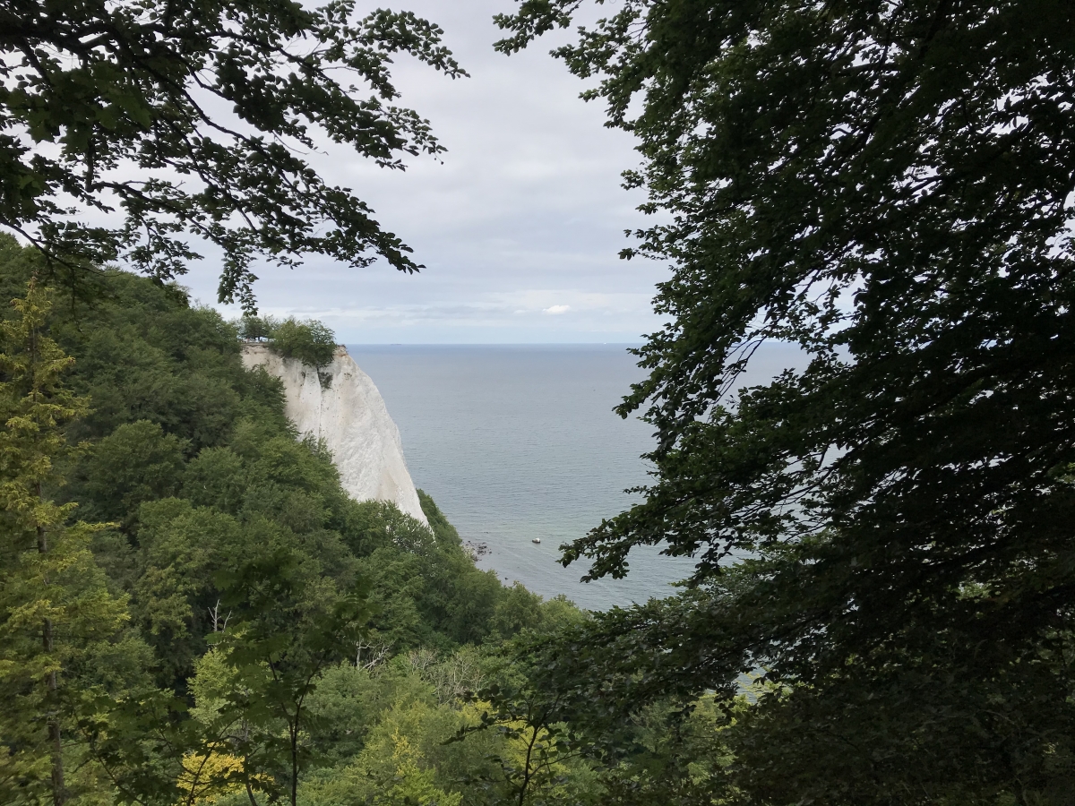 Am Königsstuhl Am Königsstuhl