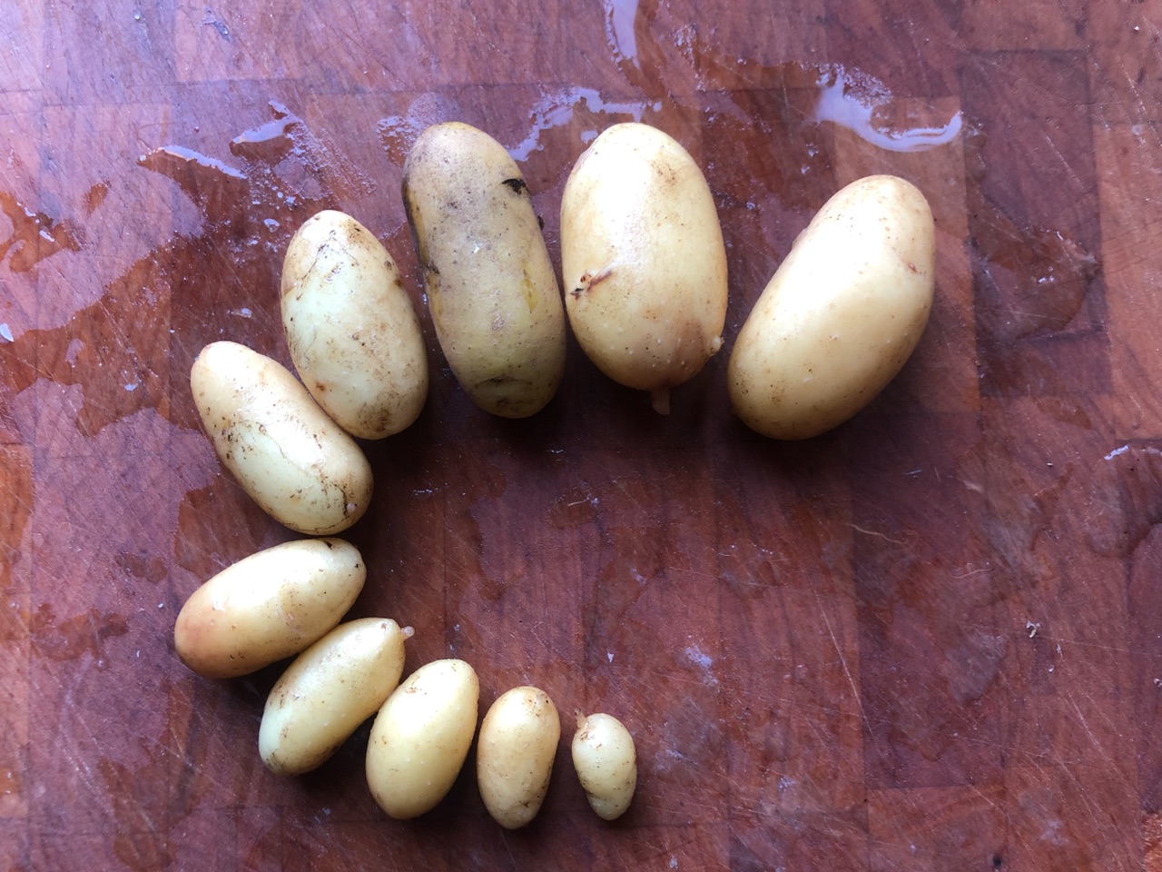 Kartoffelernte Kartoffelernte